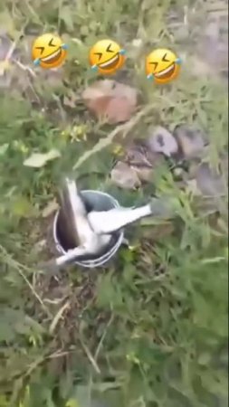 И как он её удержал?