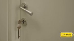 Собака не позволяла ребёнку спать одному Когда родители узнали причину, то сразу вызвали полицию!