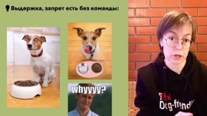 Фрагмент урока из курса по работе с неподбором у собак