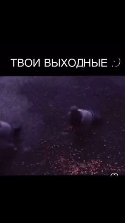 Актуально