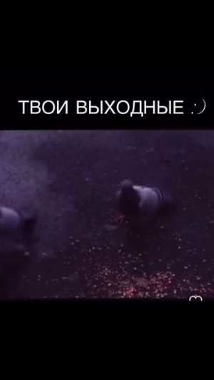 Актуально