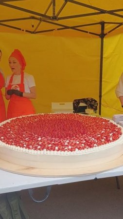 Фестиваль индийской культуры в Уфе.Торт.