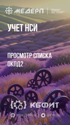 КБФИТ: МЕДЕРП. Учет НСИ: Просмотр списка ОКПД2