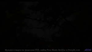 Такой красоты и звучания ты ещё не видел - How Did We Get Here -- Frau Holle -- Different Ways