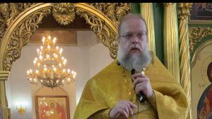 Проповедь иерея Дмитрия, неделя третья по Пятидесятнице, воскресенье, 29 июня 2025 года  .