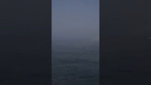 Вечернее море