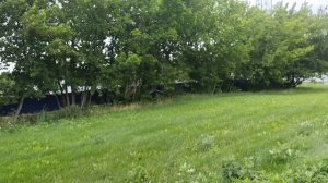 Активное освоение площадки в Курьяново Бирюлёвской линии