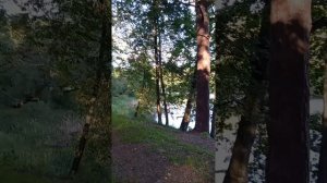 3 уровня психологического исцеления