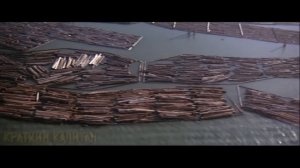 Слив токсичных отходов приводит к появлению ЖУТКИХ_МУТАНТОВ