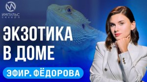 Эфир. День ветеранов. Экзотика в доме. Безопасные каникулы