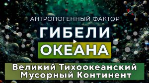 Гибель Океана :  Великий Тихоокеанский Мусорный Континент - Открытие