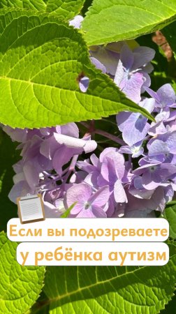 Ранняя диагностика аутизма #мелешколя #аутизм #РАС #abaтерапия #особыедети #развитиедетей #развитие