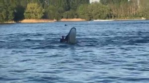 Стоячий Гидроцикл Yamaha Superjet .рф трюки