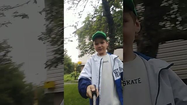 Яблоня на участке /Storts