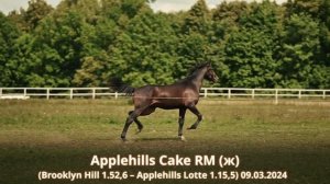 Applehills Cake RM (ж) (Brooklyn Hill 1.52,6 – Applehills Lotte 1.15,5) 09.03.2024