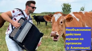 Необъяснимое действие музыки на организм (с Алиповым)