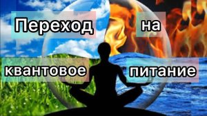 Эфир с Еленой о важности питания во время квантового перехода