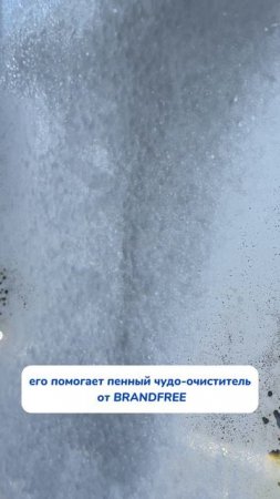 Развлечение котов с последствиями😅