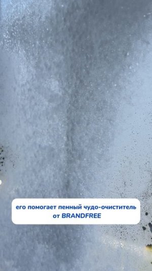 Развлечение котов с последствиями😅