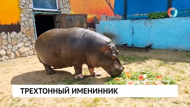 Трехтонный именинник