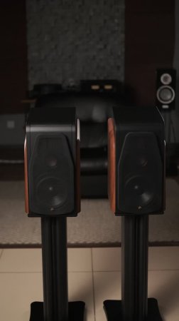SWAN M300MKII — это акустика, которая действительно заслуживает внимания!