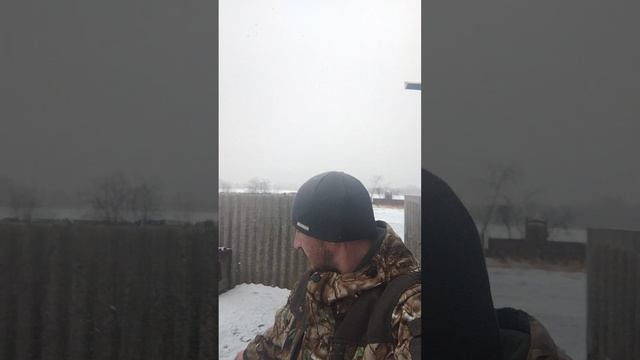 опять с собакой
