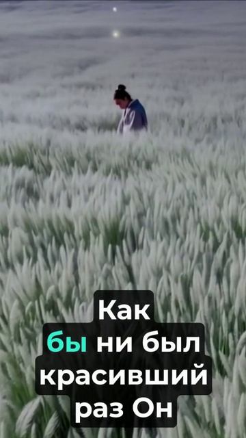 На стихи С.Есенина смотреть онлайн