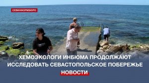 Специалисты ИнБЮМа продолжают наблюдение за побережьем Севастополя