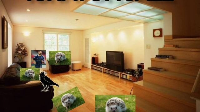 🏡😀🤨😰