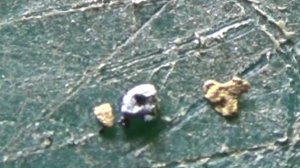 Скопление Золота и Платины на повороте ручья!