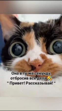 хоп...