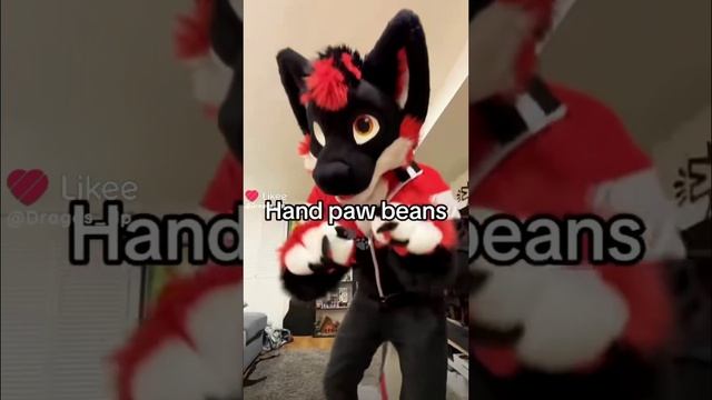 1000009059.mp4