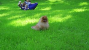 Территория отель Мореин