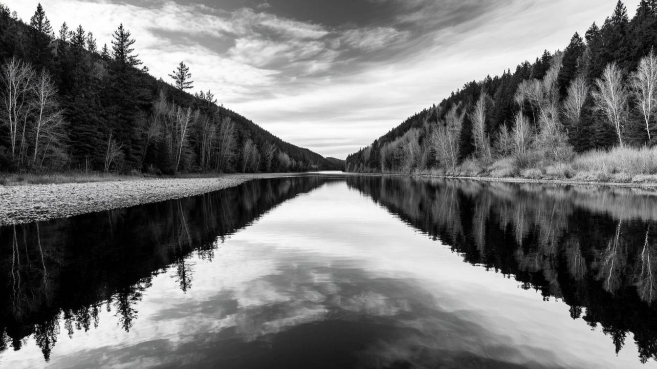 Черная река, белая река.