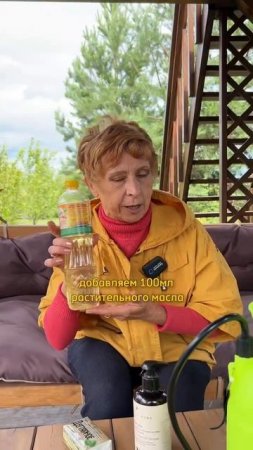 Как бороться с ТЛЁЙ?