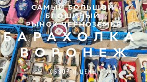 САМЫЙ БОЛЬШОЙ БЛОШИНЫЙ РЫНОК ЧЕРНОЗЕМЬЯ! | БАРАХОЛКА ВОРОНЕЖ | ОБЗОР И ЦЕНЫ