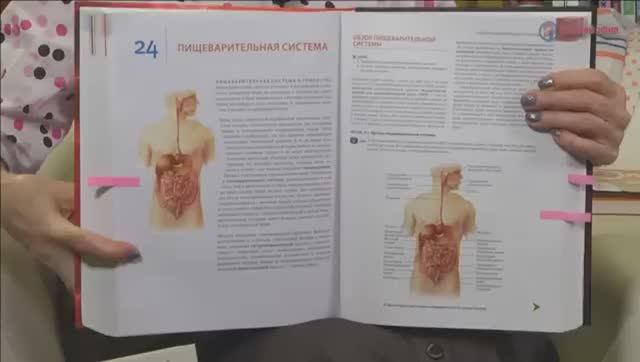 Правильное питание на каждый день. Как научиться правильно питаться.