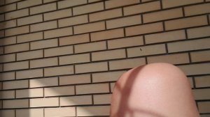 VID_20250612_092202.mp4