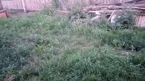 хитрые..богатеют ..всегда стреляют