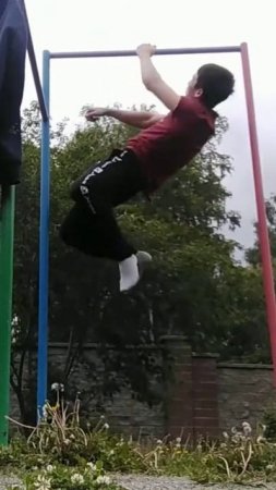 12 one arm pull ups