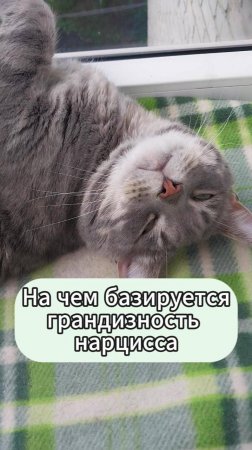 Откуда берется грандиозность нарцисса