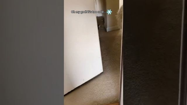 1000052718.mp4