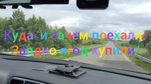 Куда и зачем мы поехали/ Заодно купили ягод