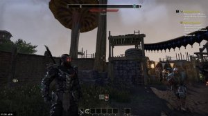 Elder Scrolls Online КОГДА NPC ВЕДУТ СЕБЯ СТРАННО