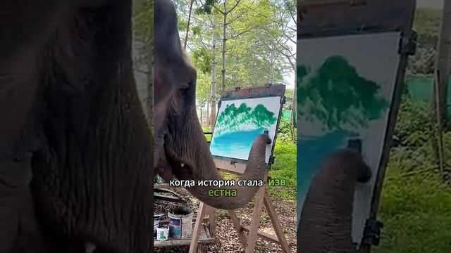 Слон, который умеет рисовать