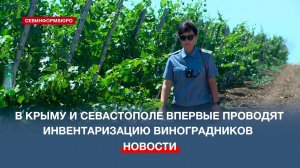 В Крыму и Севастополе впервые проводят инвентаризацию виноградников