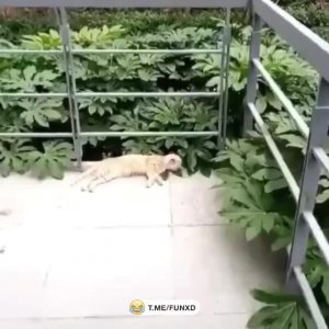 Доброе утро!😅