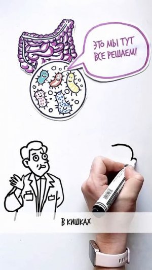 Почему КИШЕЧНИК — второй МОЗГ? — Научпок #шортс