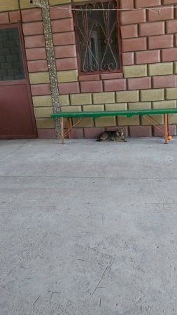 20250702_122658.mp4