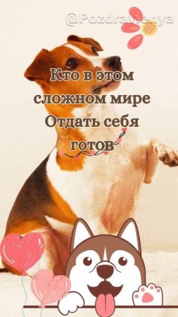 С Днем собаки!
